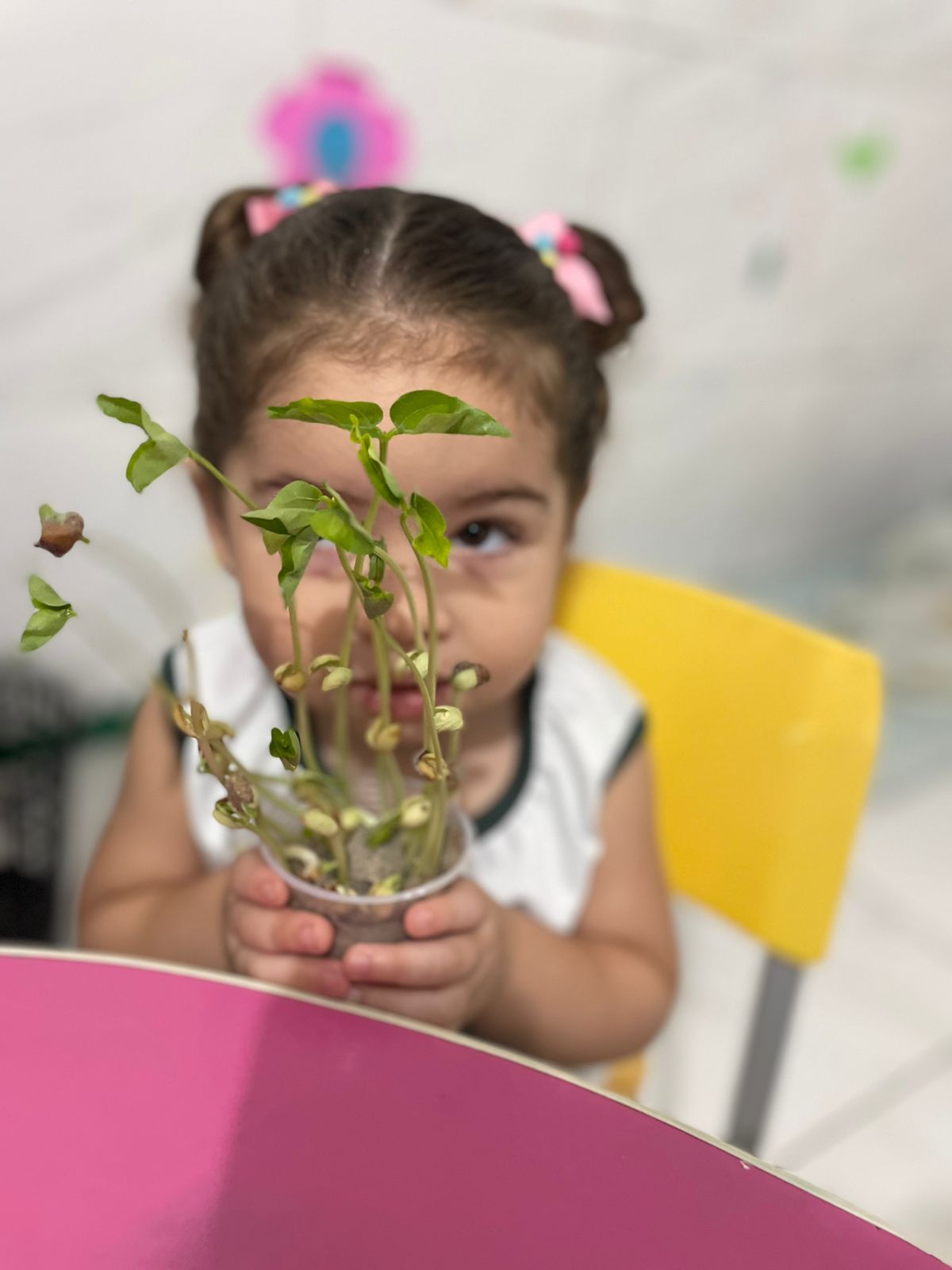 Experiências educacionais